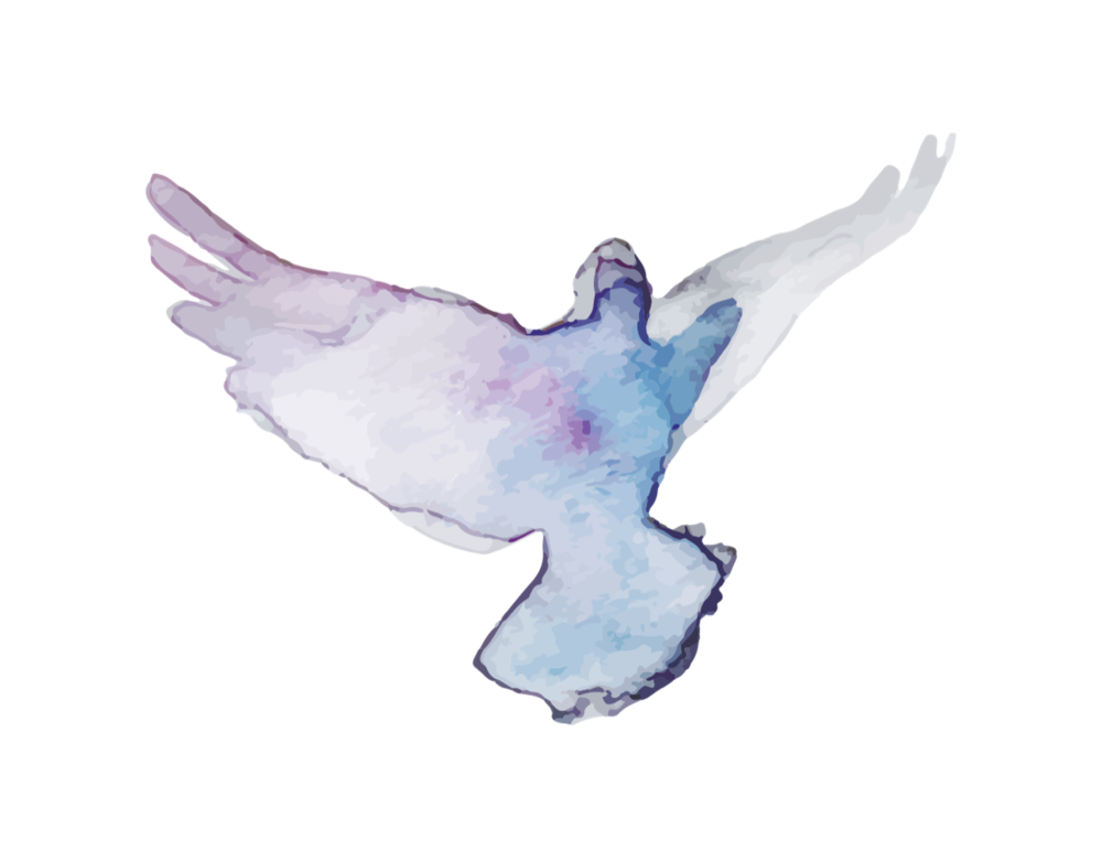 A stylized dove painted in pastel colours