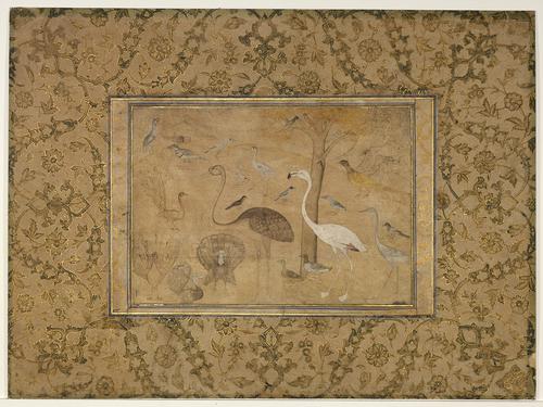 Small rectangular drawing centred on a page with floral illumination, depicting a vague lightly-drawn landscape in the background with 20 different large and small birds, including peacocks, turkey, mallard ducks, ostrich, and a flamingo stand together as a group of individual studies.